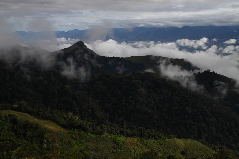 c0248100_2094667.jpg