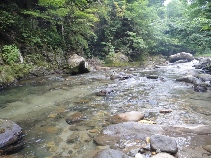 b0172805_2293093.jpg