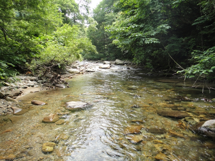 b0172805_2475617.jpg
