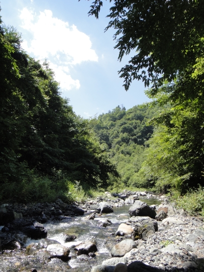 b0172805_9522493.jpg