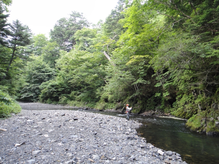 b0172805_959970.jpg