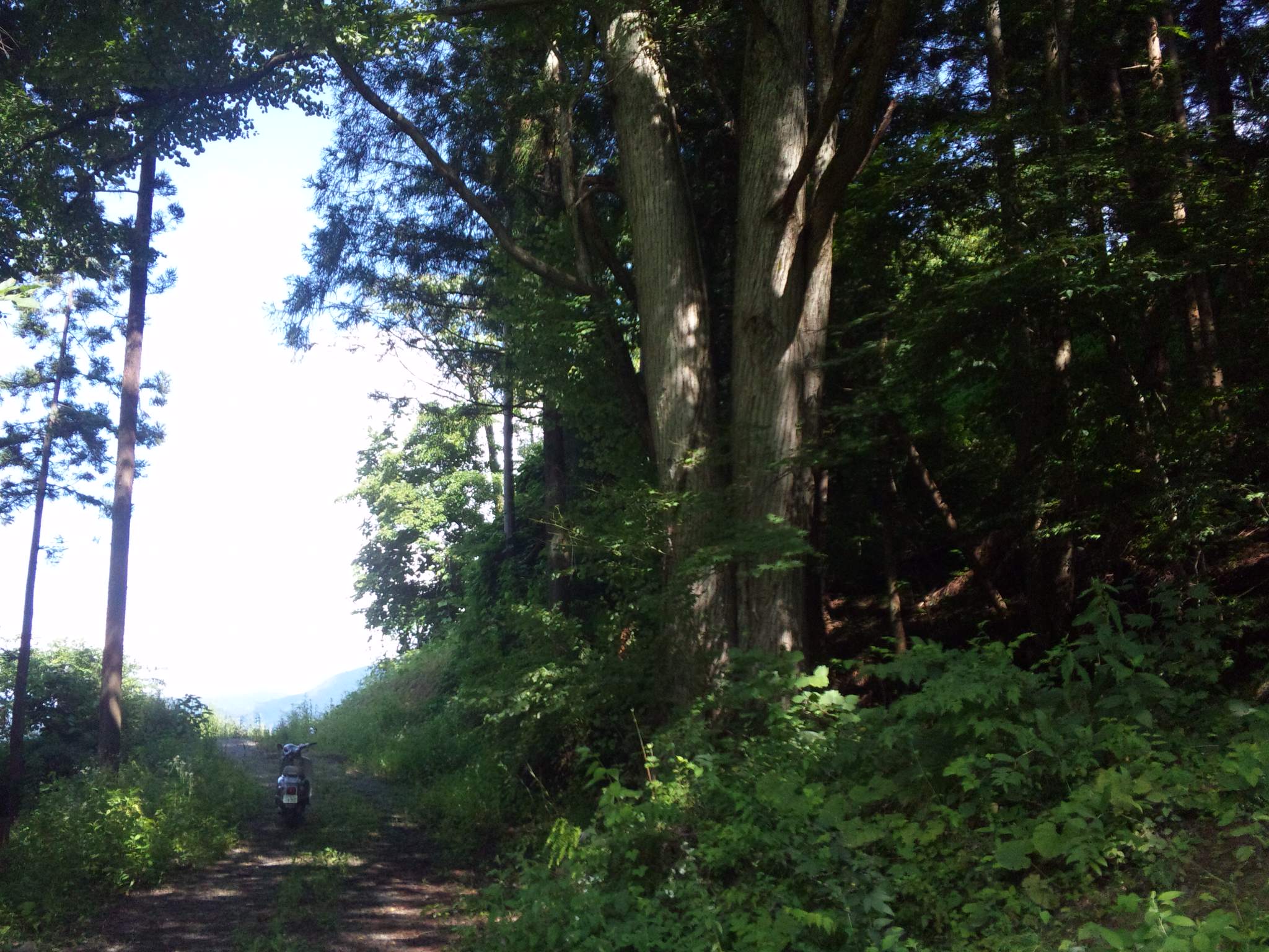 c0126205_832376.jpg