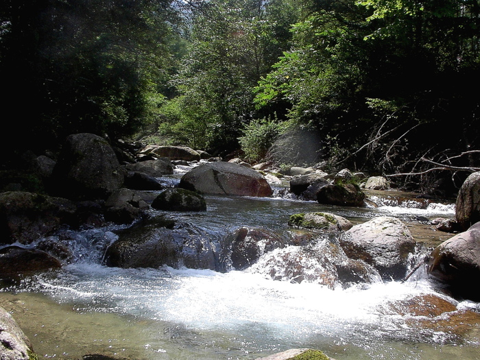 d0126708_165143.jpg