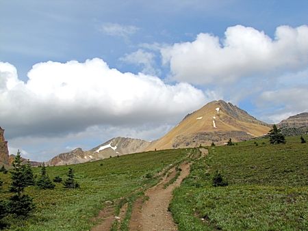 b0051109_11314741.jpg
