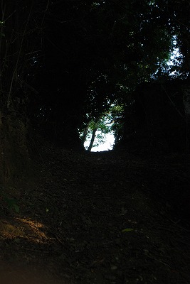 e0128909_316874.jpg