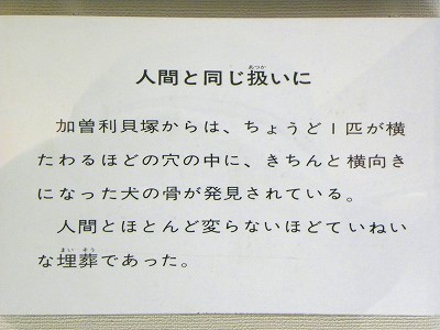 e0204314_9494251.jpg
