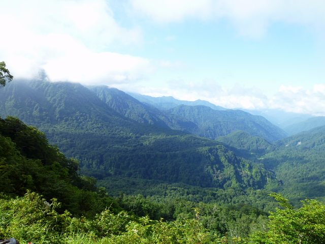 d0170615_1023075.jpg