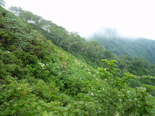 d0170615_10232134.jpg