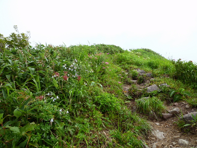 d0170615_10235861.jpg