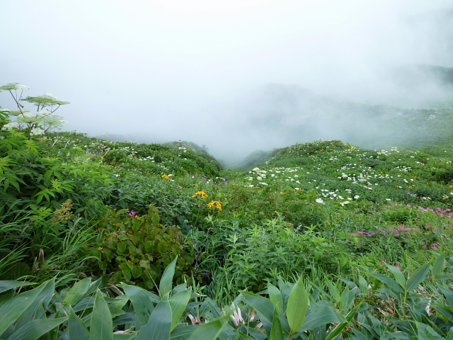d0170615_1025433.jpg