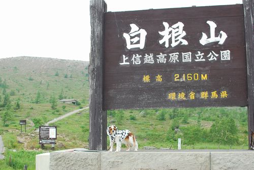 f0214121_22375599.jpg