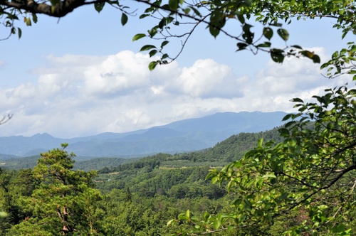 a0248728_2140595.jpg