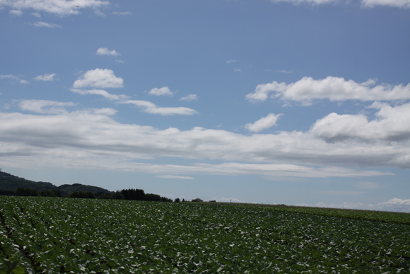 f0045630_7333356.jpg