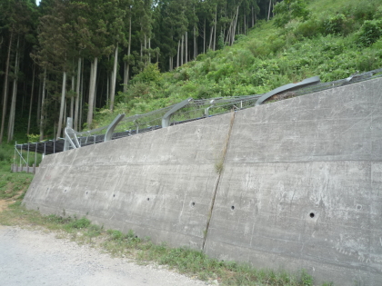 f0080631_21454525.jpg