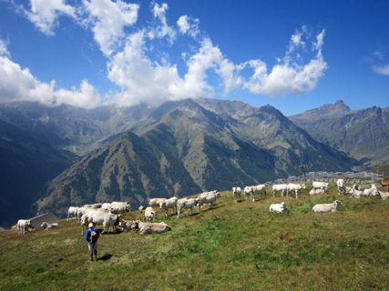 f0234936_013184.jpg
