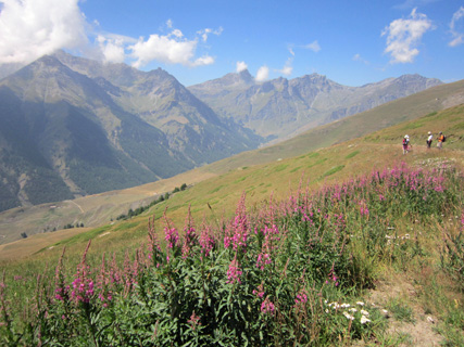 f0234936_015342.jpg