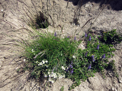 f0234936_01964.jpg