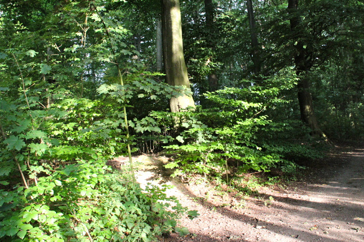 c0153740_310555.jpg