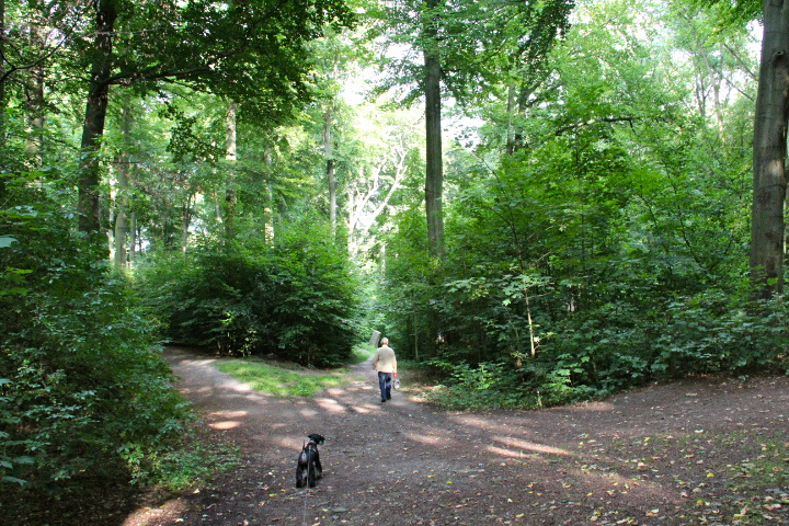 c0153740_371299.jpg