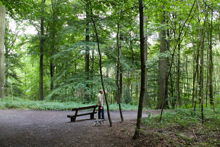 c0153740_38025.jpg