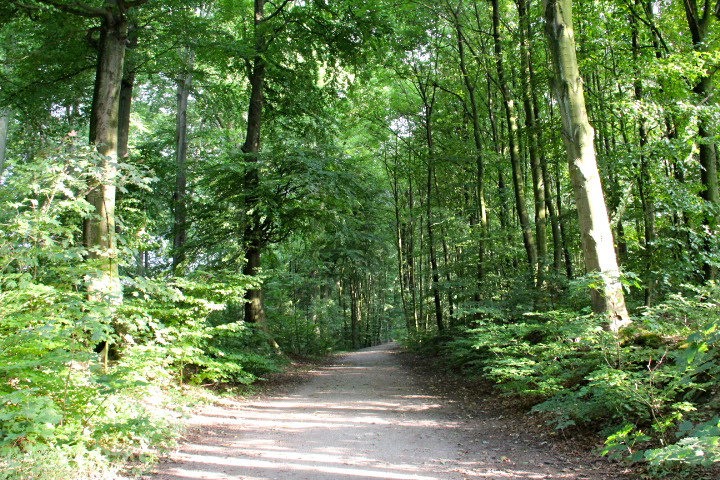c0153740_393187.jpg