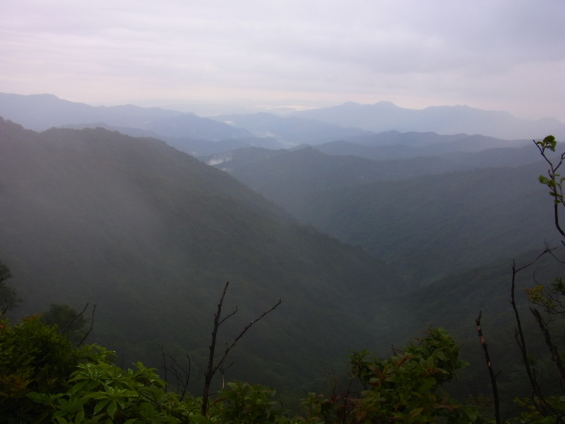 b0190242_21293231.jpg
