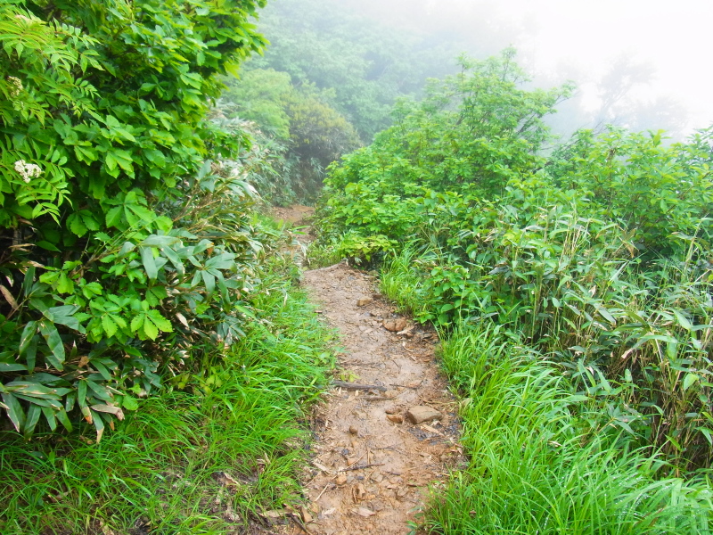 b0190242_2130022.jpg