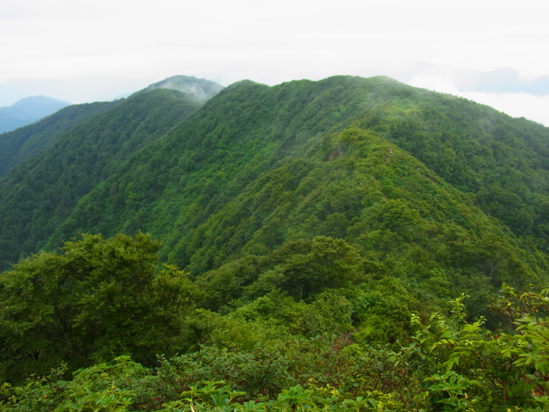 b0190242_21301966.jpg