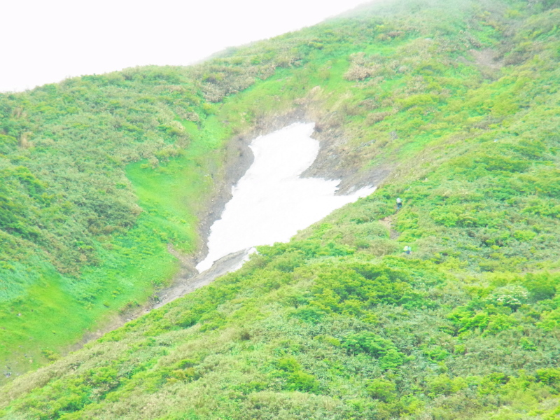 b0190242_21315744.jpg