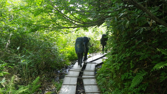 c0042847_10154220.jpg