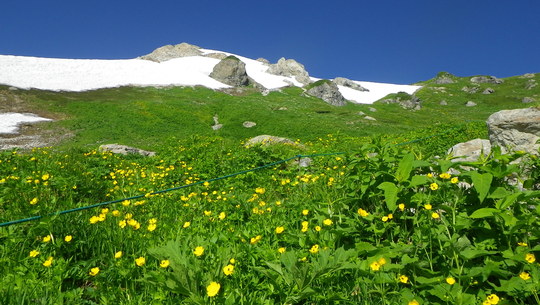 c0042847_1065022.jpg