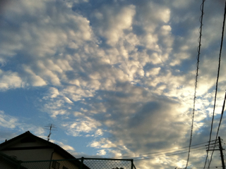 f0179947_0524095.jpg