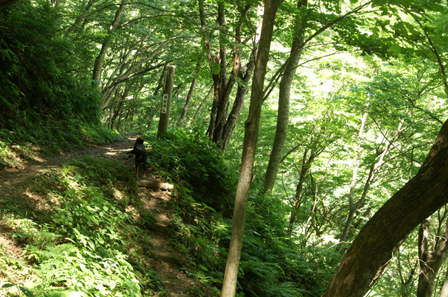 f0214649_4114717.jpg