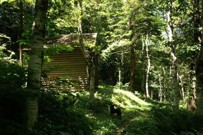 f0214649_41156.jpg