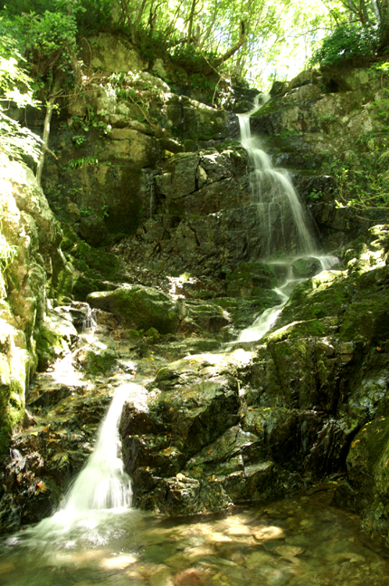 f0214649_4125520.jpg
