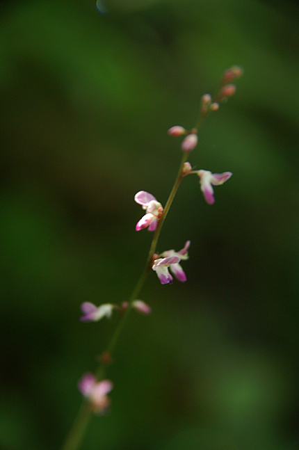 f0214649_4153010.jpg