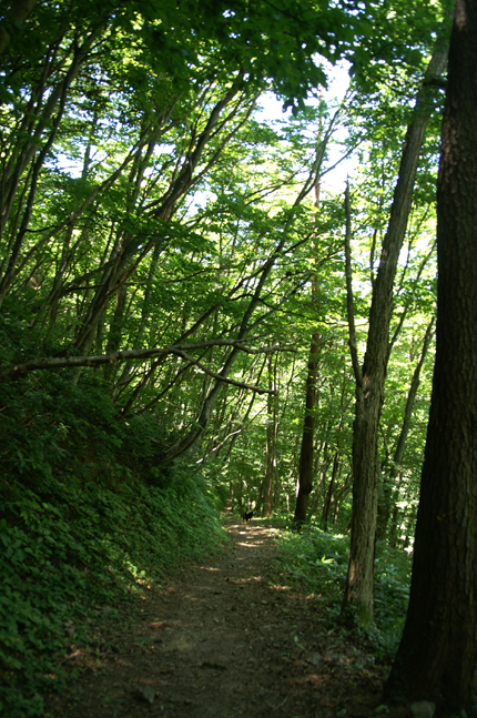 f0214649_4162966.jpg