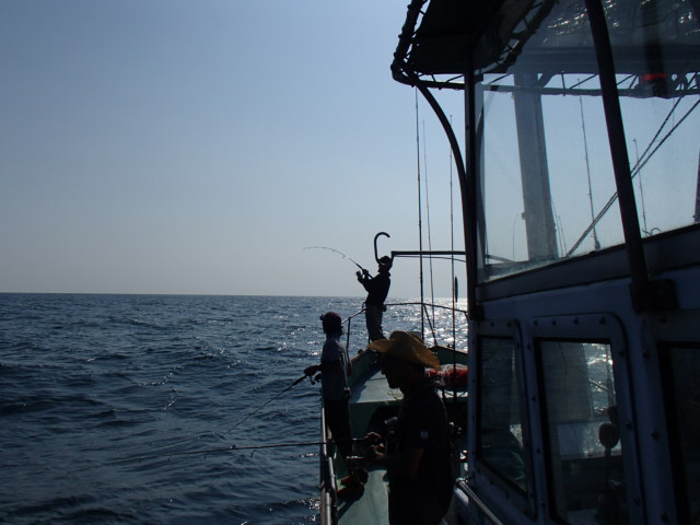 a0248152_19455360.jpg