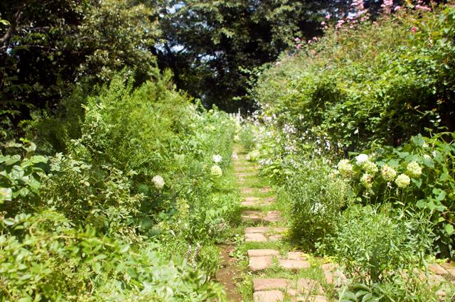f0176458_19182111.jpg