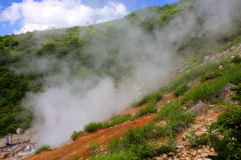 a0248459_19113875.jpg