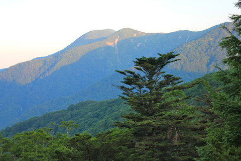 a0248459_19121668.jpg