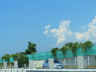 e0001860_22443724.jpg