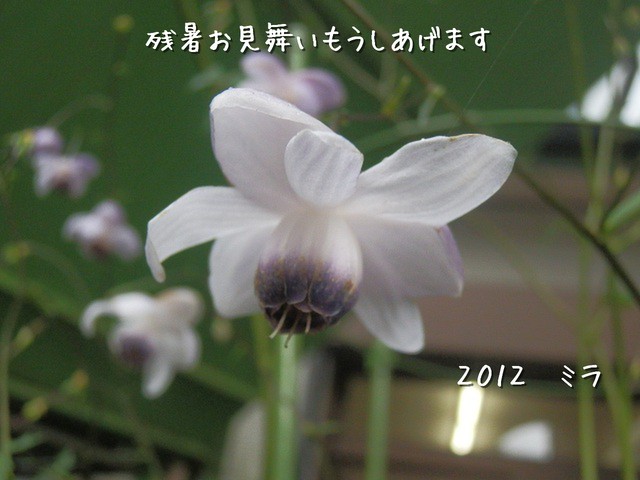 c0042869_20262317.jpg