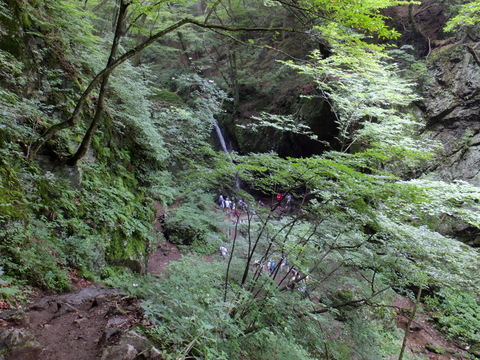 a0043982_15561556.jpg