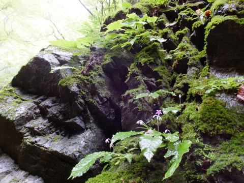 a0043982_15563220.jpg