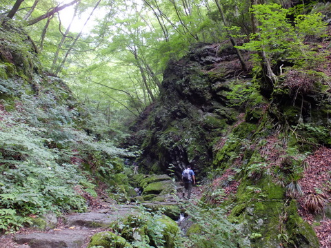 a0043982_15565623.jpg