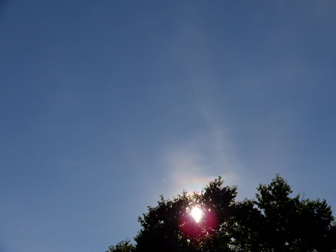 a0043982_16522389.jpg