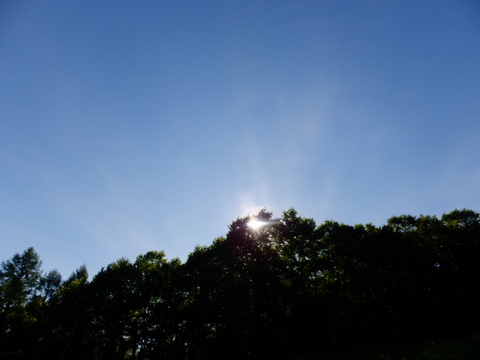 a0043982_16523065.jpg