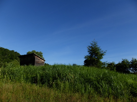 a0043982_16533257.jpg