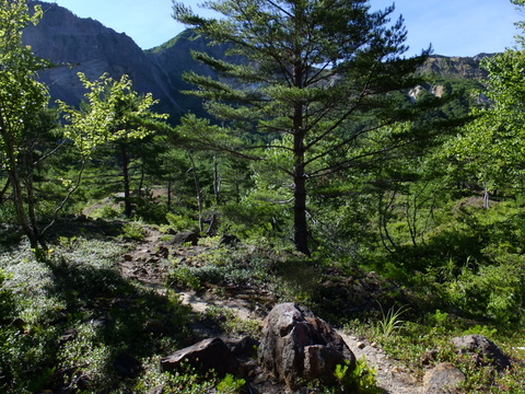 a0043982_17532314.jpg